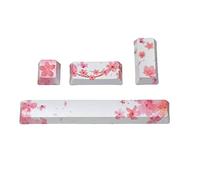 LLHCF Oem Profile 4 Keys Keycap Set Esc Enter Space 6.25U PBT Dye Sublimation Mechanical Keyboard Keycap Landscape Keycap