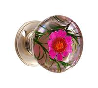 LLHCF Resin Orb Door Handle Multiple Theme Designs Art Work Strong Metal Base Smooth Grip for Home Office Decoration Artistic Door Knob with