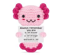 llikknve Positive Crochet Animals, Emotional Support Crochet Gift, Handmade Adorable Pink Doll with Encouraging Words, Ages