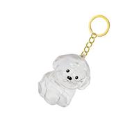 LLINthy Clear Pet Hair Memorial Keychain Dogs Compacts Keepsakes Jewelry Dog Furs Holder Emotional Pet Owners Loss Grief Gift