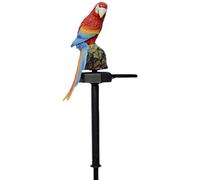 LLINthy Solar Power LED Parrot Light Waterproof Garden Landscape Lamp for Yard Courtyard Outdoor Decor Spotlights & Spotbars