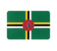 LLKGOT Anti Slip Floor mat Flag of The Commonwealth of Dominica Pattern for Indoor and Outdoor Door mats, Suitable for Bedroom and Bathroom entrances 16x24in