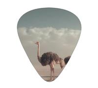 LLKGOT Ostrich in the desert Picture Guitar plectrum 12 pieces with three thickness plectrum combinations suitable for bass and ukulele