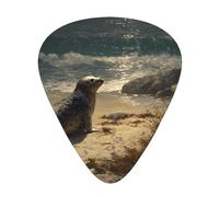 LLKGOT Sea lions on the coast Picture Guitar plectrum 12 pieces with three thickness plectrum combinations suitable for bass and ukulele