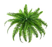 LLLmhuaa Artificial Ferns Plant Arrangement Realistic Fern Realistic Foliages for Patio Garden Yard Balconies Decoration Fern