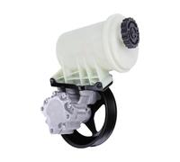 LLNOM Power Steering Pump Compatible for Dodge Ram 1500 2008 2500 3500 2003-2010 7696974161 68044144AC 68034326AB 68034330AA hydraulic pumps