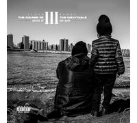 Lloyd Banks - The Course of The Inevitable 3: Pieces of My Pain [VINYL]