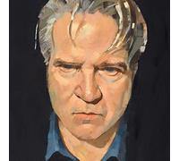 Lloyd Cole - Guesswork - Vinyl Record - J3z