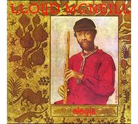 LLOYD MCNEILL - SOUL JAZZ RECORDS PRESENTS ELEG - Vinyl Record 12 REC - G3z