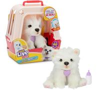 LLP Little Live Pets My Really Real Puppy - Luna The Samoyed Realistic Interactive Toy Puppy That Reacts To Your Touch 60+ Sounds and Reactions Soft Fur, Weighted Paws