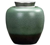 LLSHQ Urns For Ashes Urns For Ashes Adult Ceramic Funeral The Ashes Cans To Preserve The Dignity And Memory Of Your Loved Ones (Green 1#)