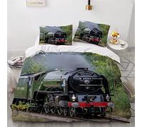 LLSL Duvet Cover double Retro Train 3d Printed Colorful Quilt Zipper Closure and Pillowcase Steam Locomotive Bedspread Ultra Soft Microfiber Bedding Set for Children Adult, Double: 200x200cm