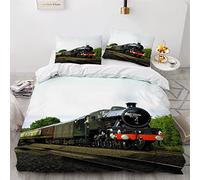 LLSL Duvet Cover set single Steam Train 3d Printed Quilt Cover w/ Zipper Closure & Pillowcase Retro Locomotive Comforter Cover 3 Pieces Ultra Soft Microfiber Bedding Set Girls Teens,Single: 135x200cm