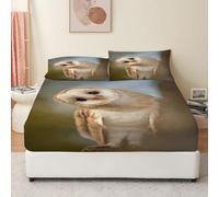 LLSZAHD Bird Double Fitted Sheet Snowy Owl Bed Sheets - 30 cm Deep Pocket Fitted Bed Sheet with 2 Pillowcases, Soft Brushed Microfiber Bedding 135x190 cm - Easy Care Bottom Sheets