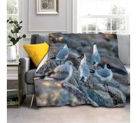 LLSZAHD Brown Headed Gull Blanket, Grey Bird Throw Blanket, Fluffy Soft Fleece Blanket for Sofa, Couch, Bed, Chair, Travel, Camping,for Kids Boys Adults (60"x90")