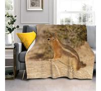 LLSZAHD Brown Squirrel Super King Size Blankets Animals Ultra-soft Warm Puffy Flannel Throw Blanket, Versatile Throws Blankets 87"x94" for Bedroom Couch Bed Sofa Bedding (221x239cm)