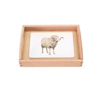 LLTCMYGS Animal Cognitive Classification Language Teaching Aid Set, Montessori Animal Card Language Preview Materials