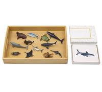 LLTCMYGS Marine Animal Models And Similar Corresponding Cards, Montessori Language Material Teaching AIDS