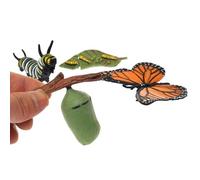 LLTCMYGS Mini Butterfly Growth Cycle Model Set, Montessori Life Growth Plastic Model Toy