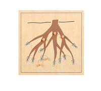 LLTCMYGS Montessori Animal & Plant Puzzle, Early Education & Hand-Eye Coordination Toy,tree root