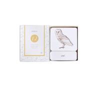 LLTCMYGS Montessori Bird Animal Recognition Cards, Preschool Language Card Three-Segment Teaching AIDS