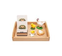 LLTCMYGS Montessori Chicks' Growth Process Set Teaching AIDS, Language Materials for Chicks' Life Cycle Growth