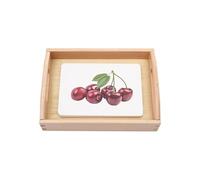 LLTCMYGS Montessori Fruit Language Learning Set, Fruit Classification Card Material Language Teaching Aid