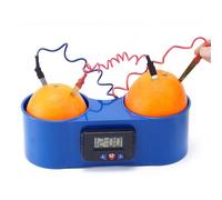 LLTCMYGS Montessori Fruit Power Generation Science Toys, STEM Science Education Toys