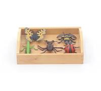 LLTCMYGS Montessori Insect Model Set, Preschool Language Materials And Teaching AIDS