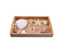 LLTCMYGS Montessori Language Working Model Teaching AIDS, Marine Product Science Teaching AIDS
