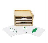 LLTCMYGS Montessori Leaf Cabinet with Botany Cards, Wooden Sensory Learning Material, Early Science Educational Toy,set