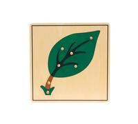 LLTCMYGS Montessori Leaf Plant Puzzle, Leaf Panel Preschool Early Child Development Learning Material