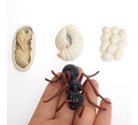 LLTCMYGS Montessori Little Ant Growth Model Set, Mini Plastic Ant Growth Model Ornaments