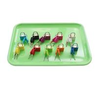 LLTCMYGS Montessori Locks And Keys Set, 10 Color Learning Padlocks with Matching Keys,Plastic trays
