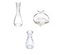 LLTCMYGS Montessori Mini Glass Vase, Diy Flower Arrangement Desktop Small Vase Decoration