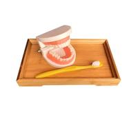 LLTCMYGS Montessori Teeth Brushing Model with Toothbrush Toys, Practical Life Toy for Toddlers,tooth model with bamboo tray
