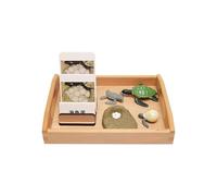 LLTCMYGS Montessori Turtle Growth Model Set, animal model and card corresponding language toys