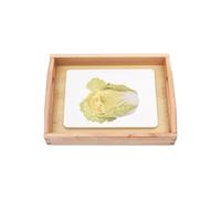 LLTCMYGS Montessori Vegetable Cognitive Matching Card Language Teaching AIDS, Montessori Preschool Language Materials
