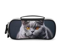 LLUTSNTH A Gray Cat Is Lying Pencil Case - Large Capacity Pencil Pouch Aesthetic Makeup Bag with Zipper Leather And Handle Design Pen Bag for Stationery, Art Supplies, Travel Essentials