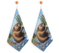 LLUTSNTH Absorbent Hand Towels Super Soft Face Towel Busy Beaver Cartoon Bath Towels Set of 2PCS Gym Towel with Hanging Loop Decorative Kitchen Hand Toweles for Yoga Camping Hotel Spa Travel