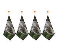 LLUTSNTH Absorbent Hand Towels Super Soft Face Towel Majestic White Bengal Tiger Bath Towels Set of 4PCS Gym Towel with Hanging Loop Decorative Kitchen Hand Toweles for Yoga Camping Hotel Spa Travel