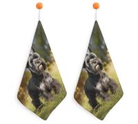 LLUTSNTH Absorbent Hand Towels Super Soft Face Towel Schnauzer Dog on The Grass Bath Towels Set of 2PCS Gym Towel with Hanging Loop Decorative Kitchen Hand Toweles for Yoga Camping Hotel Spa Travel