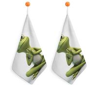 LLUTSNTH Absorbent Hand Towels Super Soft Face Towel The Funny Frog Doing Yoga Bath Towels Set of 2PCS Gym Towel with Hanging Loop Decorative Kitchen Hand Toweles for Yoga Camping Hotel Spa Travel