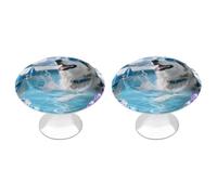 LLUTSNTH Alaskan Pool Majesty Cabinet Knobs 2 Pack Drawer Pulls Stainless Steel Dresser Knobs Rustic Decorative Cabinet Pull Easy Install Wardrobes Handle with Screws Door Handles Furniture Hardware