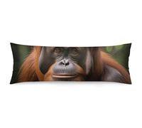 LLUTSNTH Body Pillow Cover Orangutan Taking Photo Body Pillow Pillowcase Decorative Polyester Pillowcase Long Pillows Cover Soft Full Bodypillow Case Covers with Zipper Closure 20"x54"