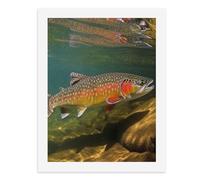 LLUTSNTH Brook Trout Fly Fishing Paint by Numbers Kits for Adults DIY Beginners Paint by Number Kits on Canvas Digital Oil Number Painting, Easy Canvas Art Print Kit for Home Decor Gift 40x30cm