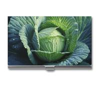 LLUTSNTH Business Card Holder Metal Slim Business Card Case Bright Cabbage Professional Cards Organizer Pocket Name Cards Case Credit Holder Wallet for Men Women Buckle Style Shut