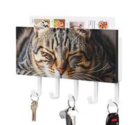 LLUTSNTH Cat Sleeping Wall Key Holder with 5 Hooks - PU Leather Key Rack Organizer, Entryway Storage for Keys/Masks/Letters, Housewarming Gift for Hallway Kitchen Decor