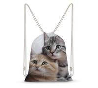 LLUTSNTH Chinese Dragon Drawstring Backpack for Women - Large Canvas Sackpack, Gym Sport Travel Bag, Drawstring Bags, Cats, 35x50cm, Travel Backpacks