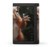 LLUTSNTH Dolphins Art Trifold Wallet for Men - Slim 8 Card Slots, Zipper Coin Purse Money Clip, Cash Compartment, Squirrel Funny Animal, One Size, Modern
